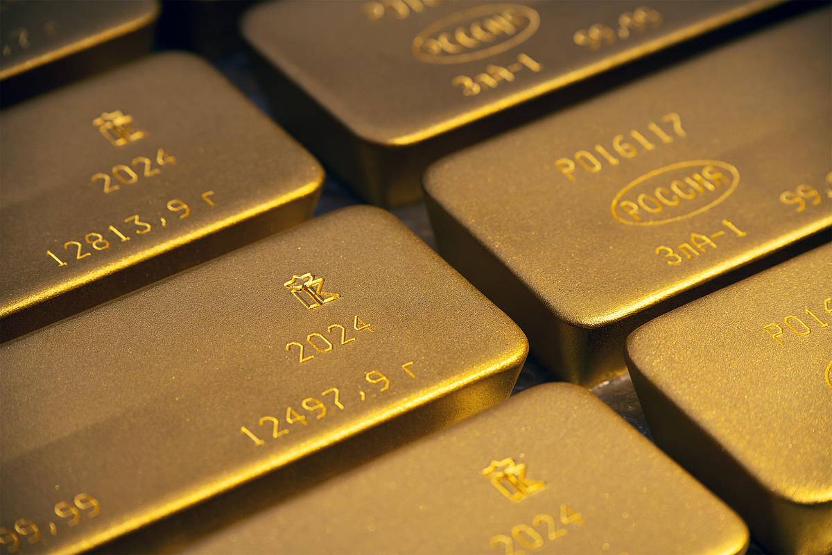 У россиянина попытались забрать полную золотых слитков сумку