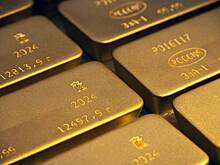 У россиянина попытались забрать полную золотых слитков сумку