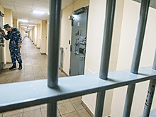 "Скопинского маньяка" освободили из-под стражи