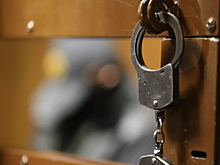 Экс-спонсор "Что, где, когда" арестован за кражу на ₽15 млн