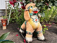 В Пензе мягкие игрушки во дворах изучат на предмет антисанитарии