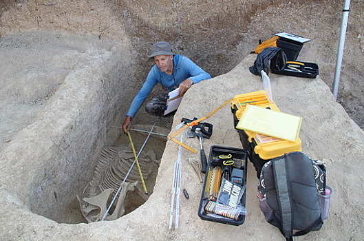 Они раскопают любую историю