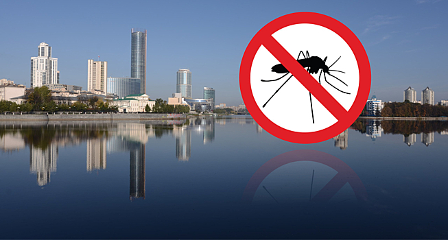 Будем меньше чесаться? Городской пруд в Екатеринбурге впервые обработают от комаров