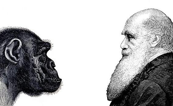 Чарльз Дарвин может быть запрещен в российских школах