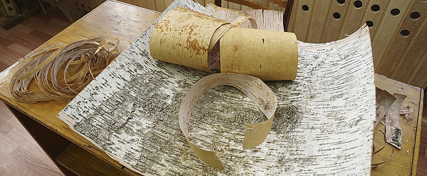 Из Удмуртии в Японию экспортировали бересту и сосновый корень