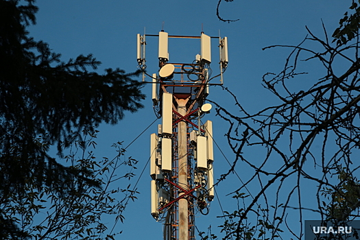 Депутат Гаврилов: дачники могут получить компенсацию, если вышка сотовой связи нанесет их здоровью вред