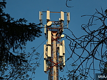 Депутат Гаврилов: дачники могут получить компенсацию, если вышка сотовой связи нанесет их здоровью вред