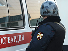 Росгвардия прокомментировала инцидент с бывшими десантниками в Москве