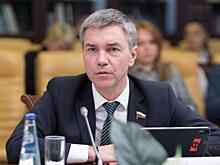 Депутат раскрыл причину успеха правящей партии