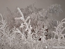 Похолодание на Среднем Урале начнётся вечером 16 января