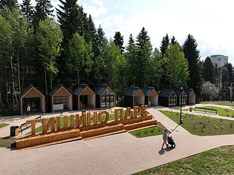 Глава Ижевска прокомментировал ситуацию с досуговыми домиками в парке «Тишино»