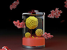 Батарею Эдисона переделали на новый лад