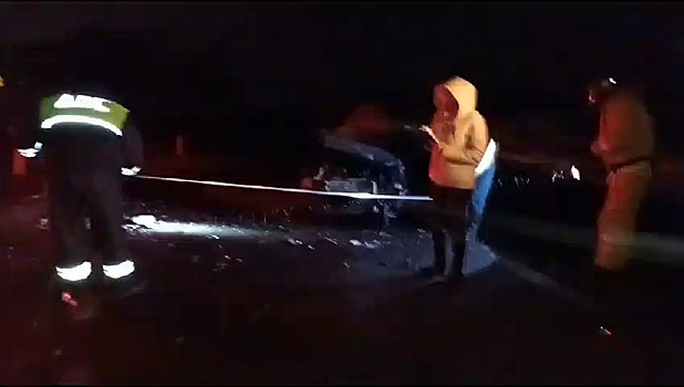 Двое взрослых и ребенок пострадали в столкновении легковушки с грузовиком в Ардатовском районе