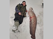 Рыбак из Городца поймал сома в человеческий рост
