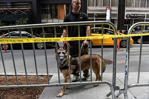 Американец покусал полицейскую собаку во время ареста