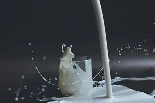 Эксперты рассказали, для чего нужны кисломолочные продукты