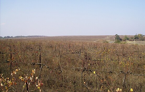 Минсельхоз: введем в оборот 200 тыс. га земли в год