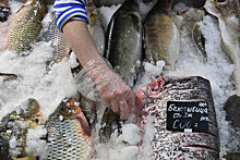 Что изменит в рыбной отрасли обновленный техрегламент ЕАЭС