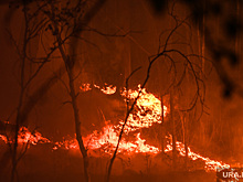 Российских туристов арестовали в Турции из-за пожара