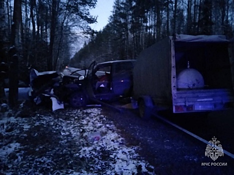 Водитель погиб в ДТП в Борском округе 2 ноября