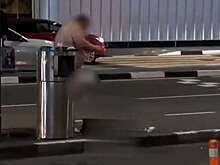 В Шереметьево мужчина мастурбировал на проезжей части и попал на видео