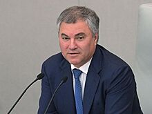 Володин предложил сделать новый аэропорт Саратова базой "Победы"