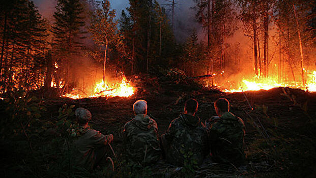 Пожары в Сибири не несут угрозы населенным пунктам, заявили в МЧС