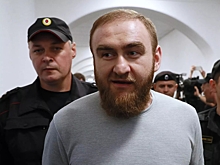 ФСИН прокомментировала информацию о пытках Арашукова