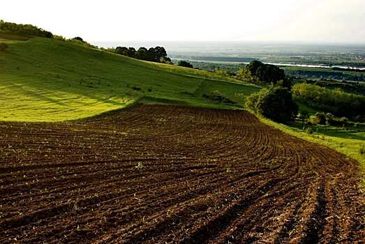 Весенний сев в Башкортостане заметно подорожал