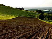 Весенний сев в Башкортостане заметно подорожал