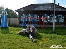 Изменить среду «под себя». Сельчанка - о том, как возродить деревню