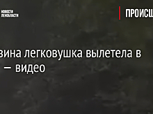У Тихвина легковушка вылетела в кювет — видео