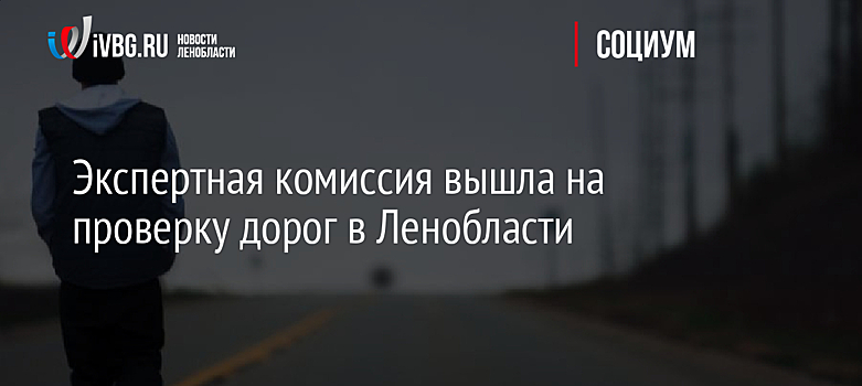 Экспертная комиссия вышла на проверку дорог в Ленобласти