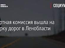 Экспертная комиссия вышла на проверку дорог в Ленобласти