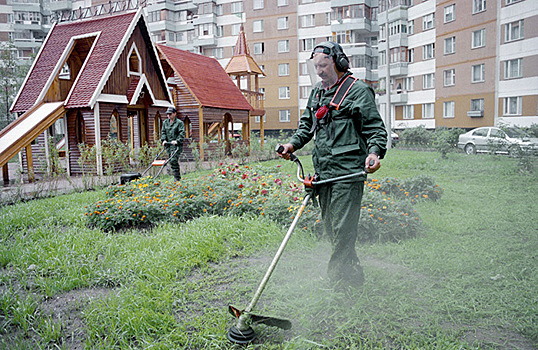 «Практически косят землю». Москвичи жалуются на покосы травы