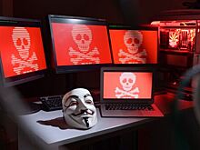 Россиян предупредили о волне заражений вредоносным ПО BlueFox