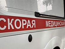 В Воронежской области погиб водитель «ГАЗели», опрокинувшейся после ДТП
