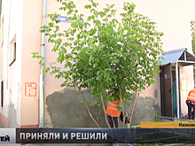 ЦУР помог разрешить ситуацию с уборкой дома по улице Героя Попова
