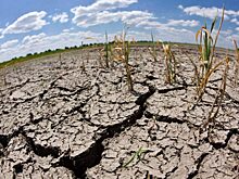 Nature Communications: ученые установили, что глобальное потепление грозит Земле неурожаем
