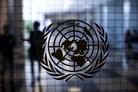 ООН зарубила сразу 17 российских поправок