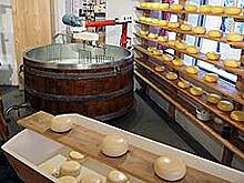 Малый бизнес оценил взятки проверяющим