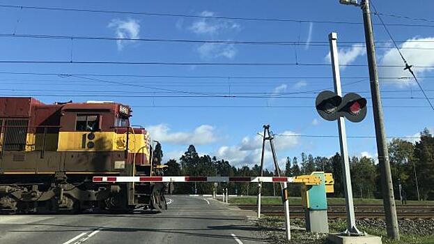 Эстония намеревается перевозить казахстанский уголь