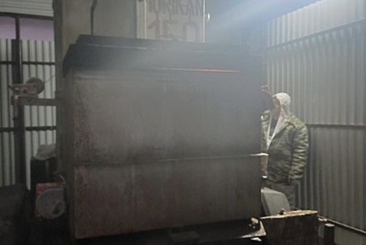 Более 82 кг продукции уничтожено в Орехово‑Зуеве из‑за вируса африканской чумы свиней