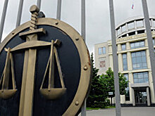 Суд признал законным приговор участнику несогласованной акции 26 марта Д.Борисову