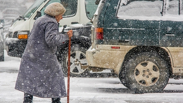Вологодских автомобилистов научат уважать пожилых пешеходов