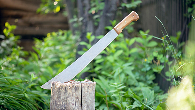 Россиянин с девушкой и ребенком поехал за марихуаной в Таиланде и получил мачете по голове