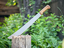 Россиянин с девушкой и ребенком поехал за марихуаной в Таиланде и получил мачете по голове