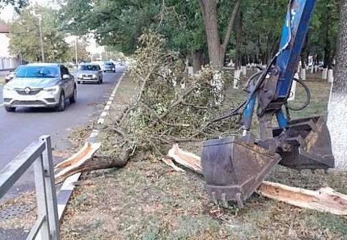 В Армавире устраняют последствия сильного ветра