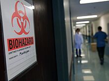 Оспа обезьян продолжает распространяться по Европе. ВОЗ созывает чрезвычайную встречу экспертов