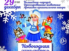 «Лесная братва»: цирковое новогоднее представление пройдет в культурном центре «Братеево»